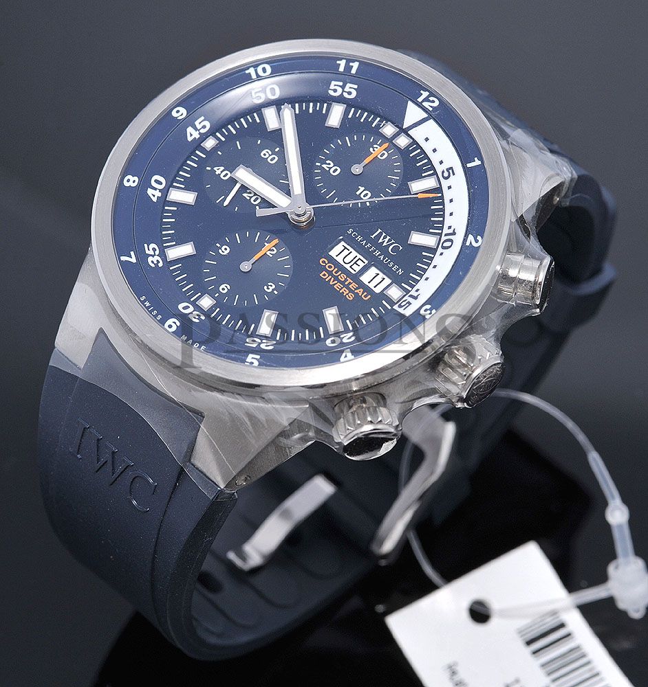 P017-IWC3.jpg